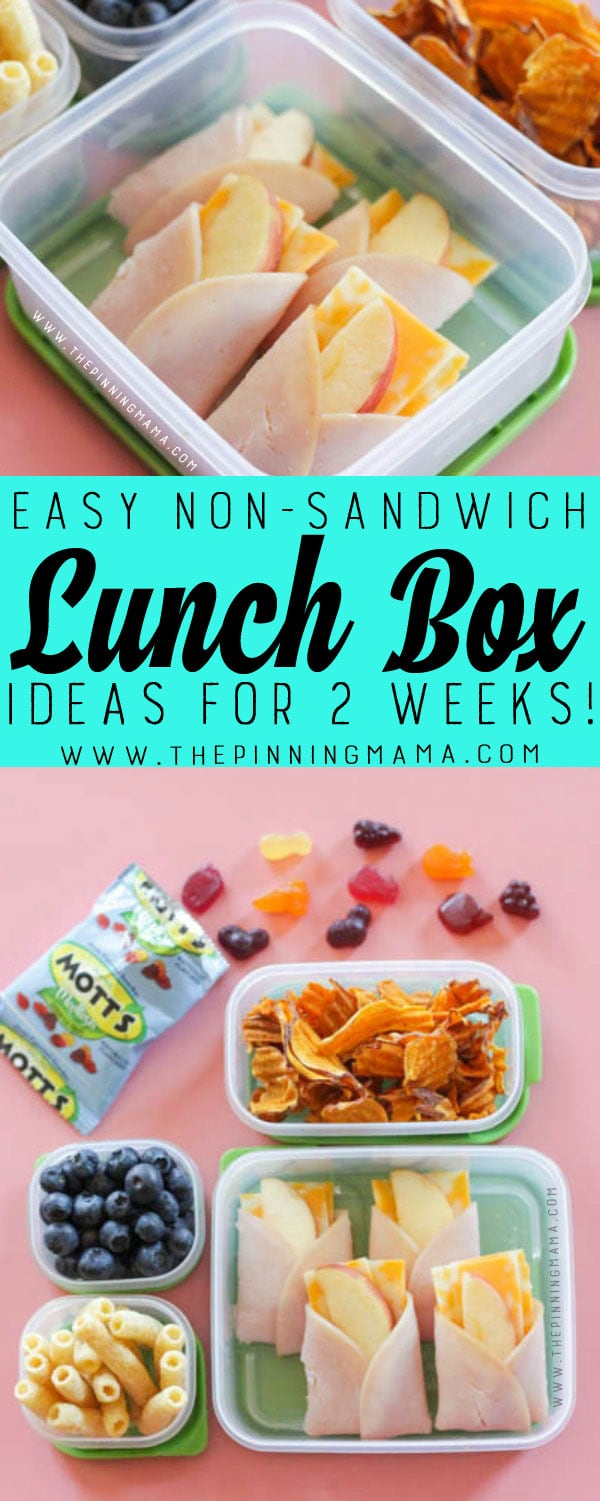 10 Amazing Kids Brown Bag Lunch Ideas 2 weeks of no sandwich lunch box ideas kids will love no repeats 9 2023