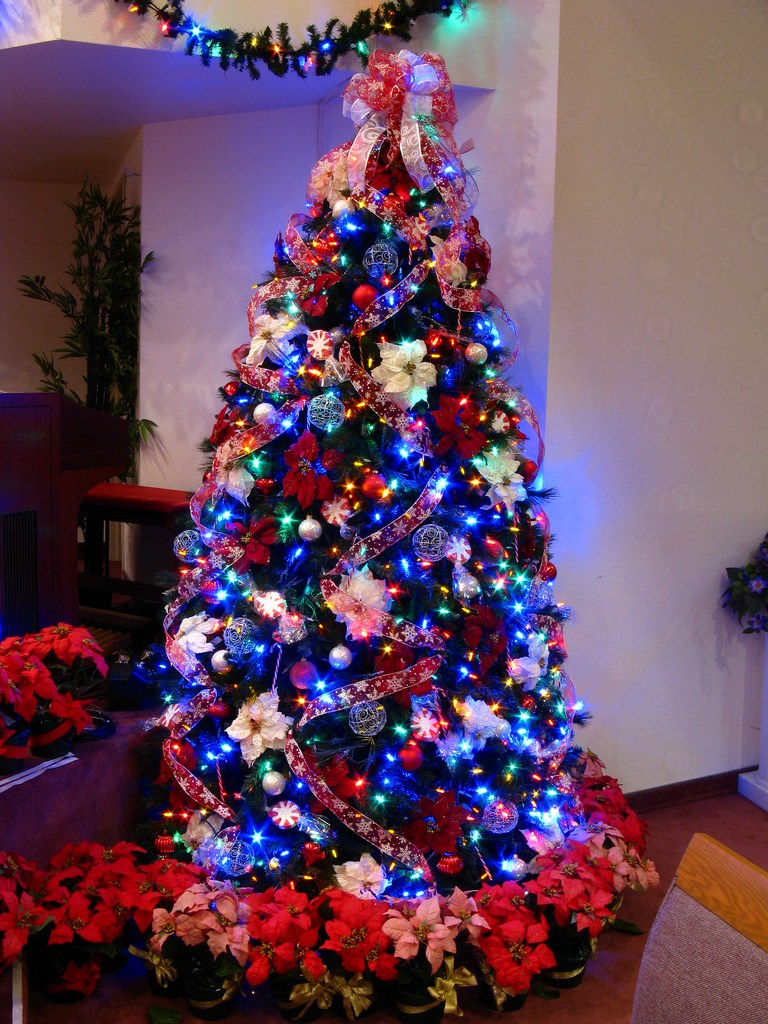10 Elegant Christmas Tree Decorating Ideas With Multi Colored Lights christmas tree decorating ideas with multi colored lights empty design 2024