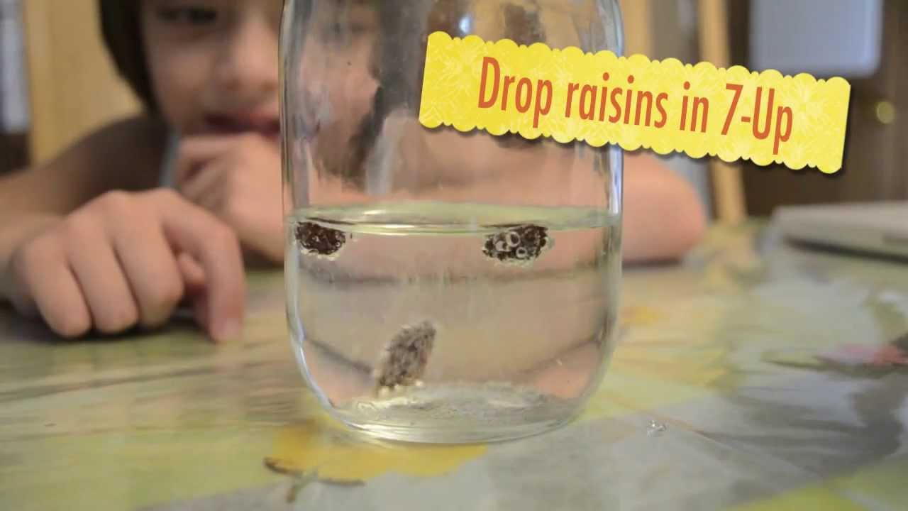10 Nice Ideas For 3Rd Grade Science Projects dancing raisins 2nd grade science experiment youtube 5 2024
