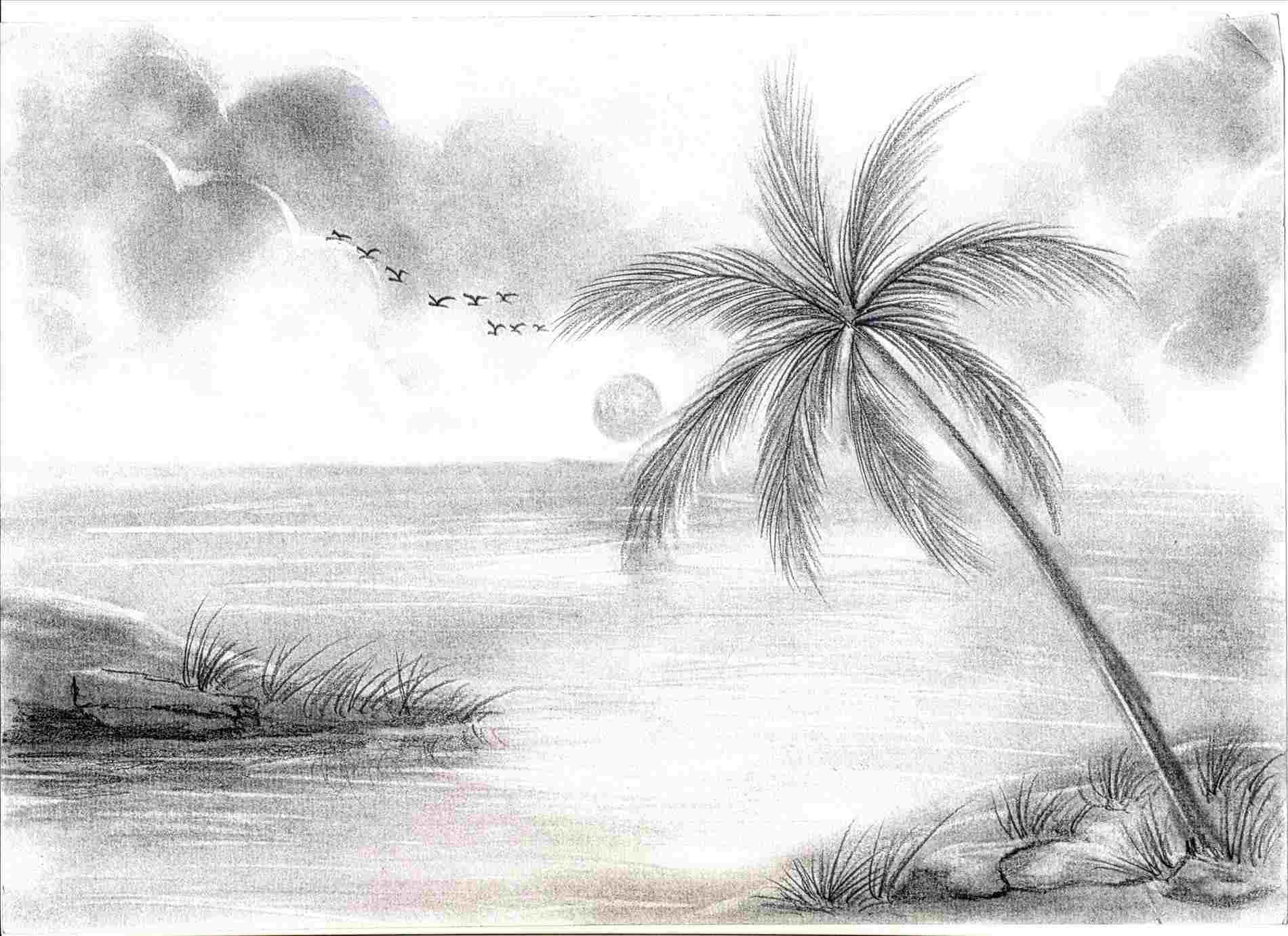 10 Wonderful Ideas For Drawings In Pencil drawing ideas pencil sketch 2024