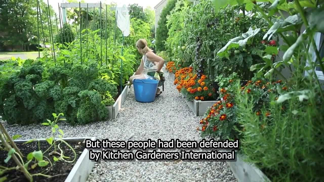 10 Great Front Yard Vegetable Garden Ideas drummondvilles front yard vegetable garden youtube 2024