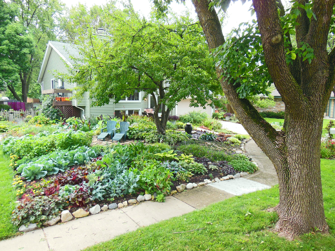 10 Great Front Yard Vegetable Garden Ideas front lawn vegetable garden design sun ray garden 2024