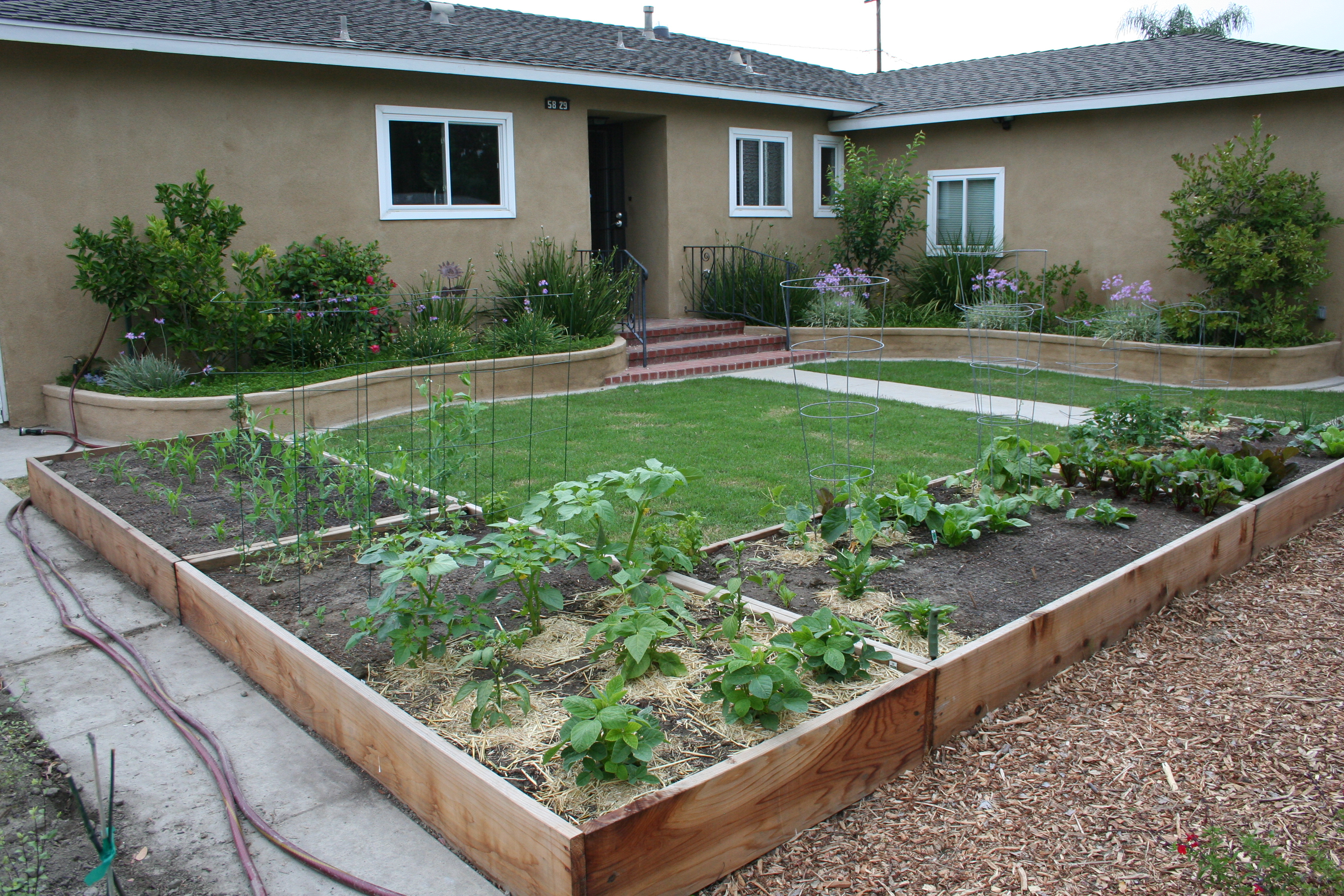 10 Great Front Yard Vegetable Garden Ideas 2020