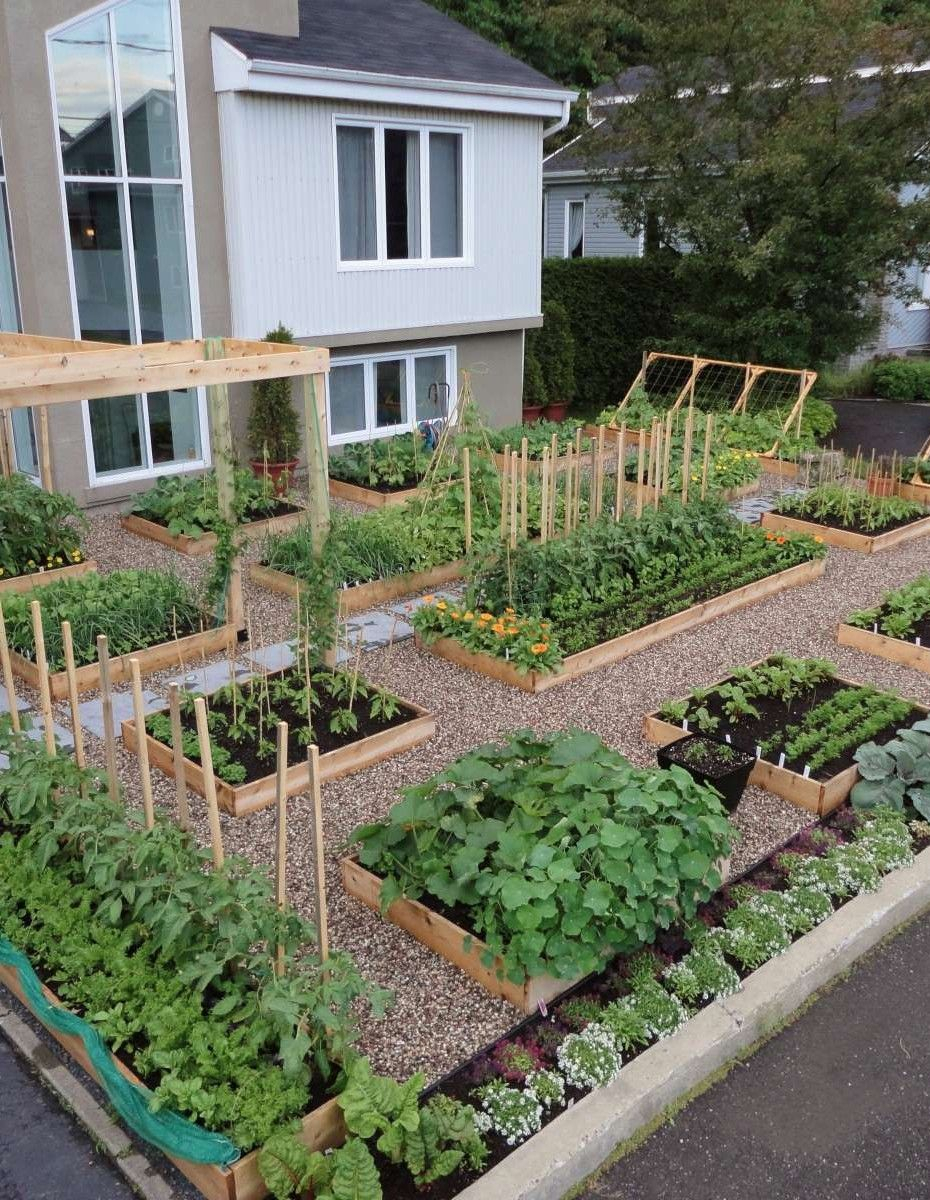 10 Great Front Yard Vegetable Garden Ideas front yard vegetable garden seattle pallet potting bench peach 2024