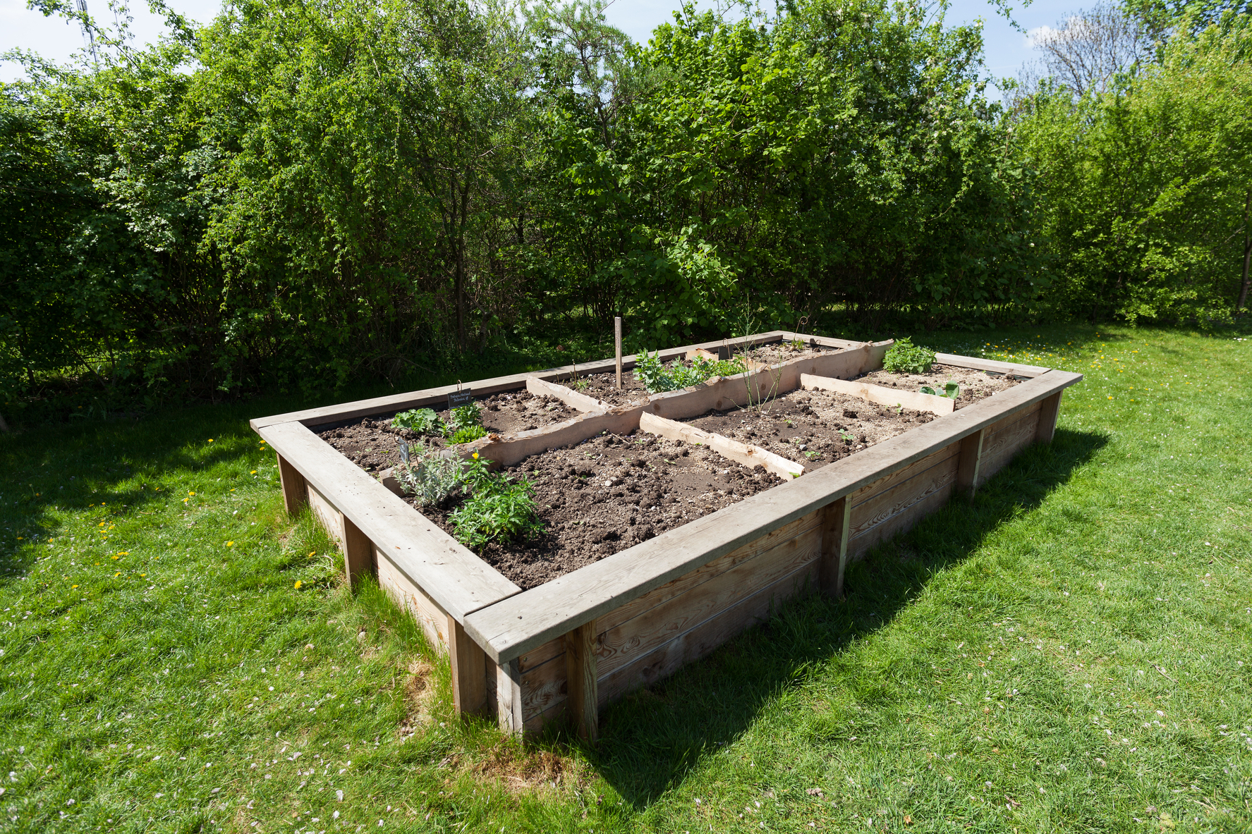 10 Unique Raised Garden Bed Ideas Vegetables how to build a raised garden bed planning building and planting 2024