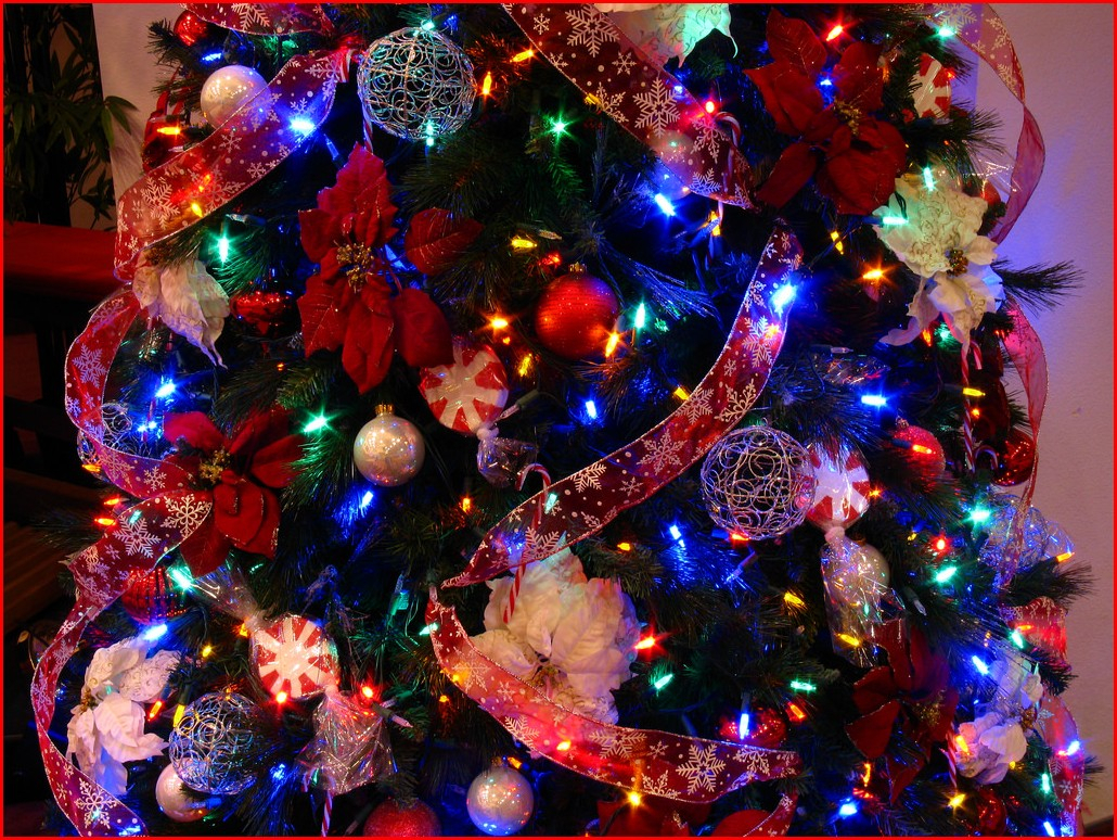 10 Elegant Christmas Tree Decorating Ideas With Multi Colored Lights image multi colored christmas tree decorating ideas 2 e280a2 ts1 2024