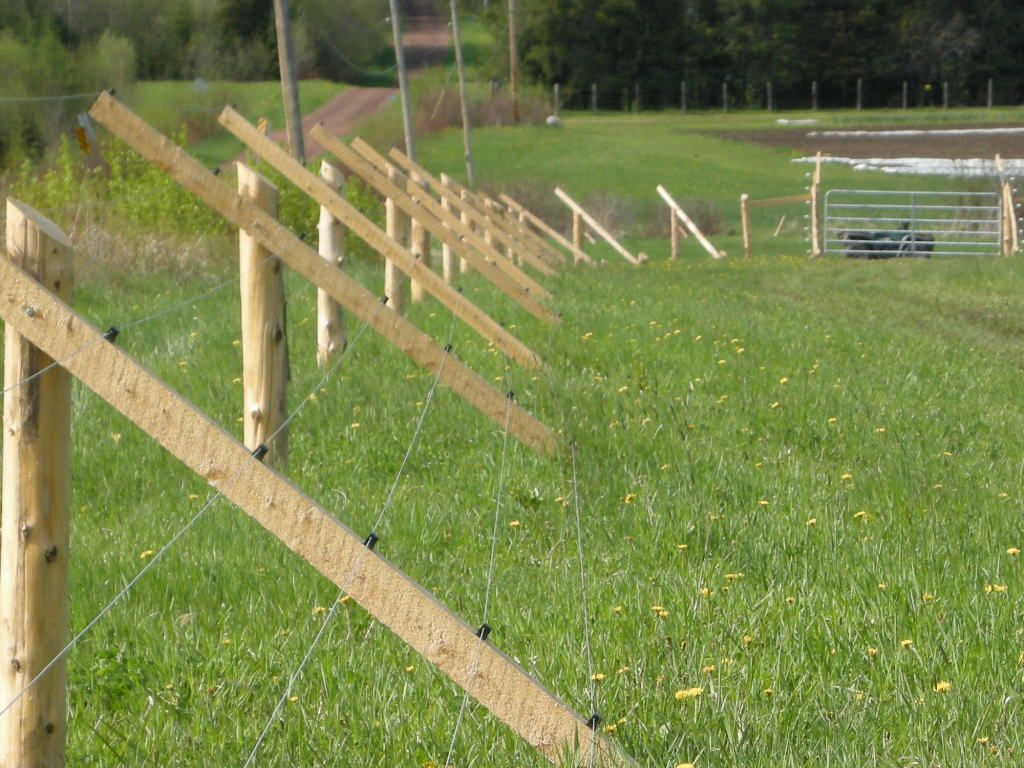 10 Fantastic Garden Fence Ideas To Keep Deer Out keeping deer out of the garden works like a charm garden ideas 2022