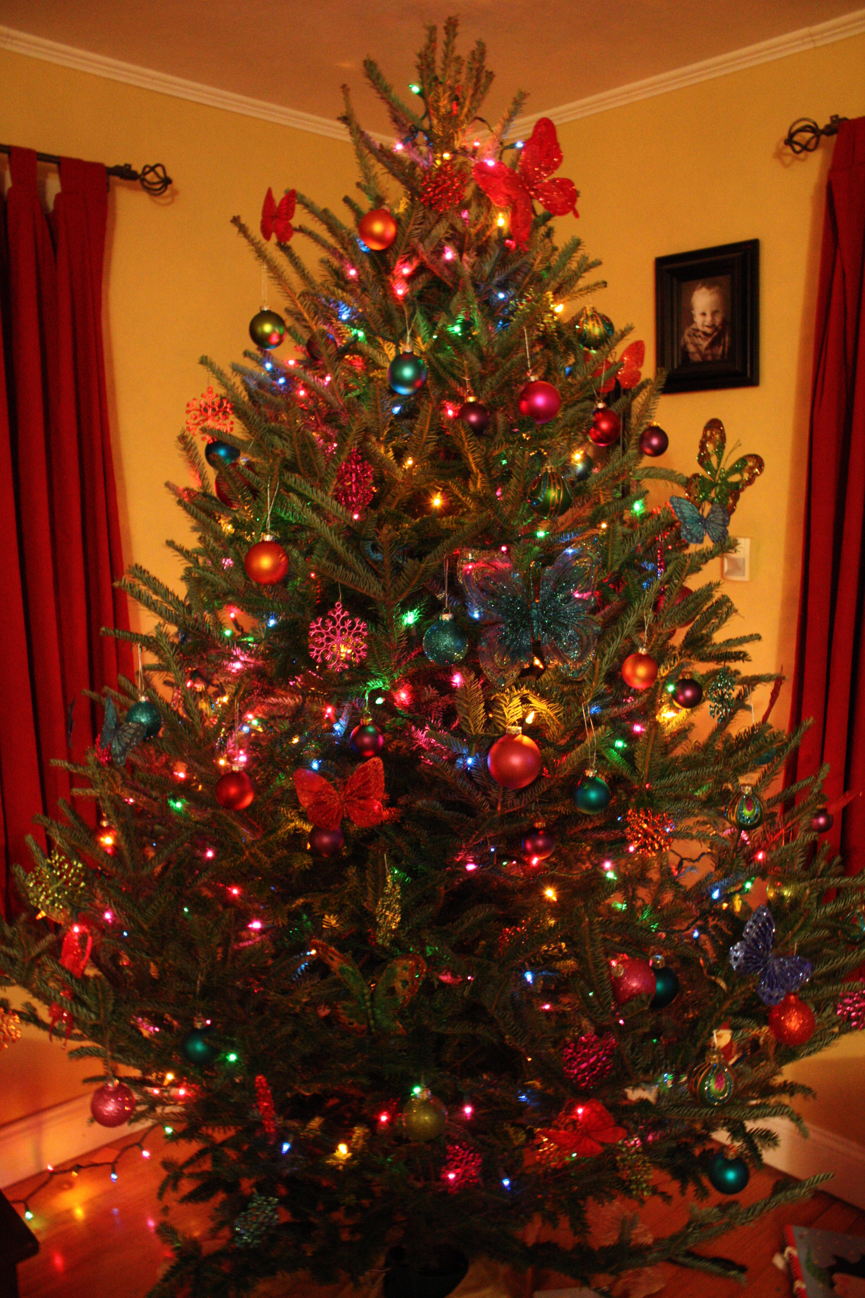 10 Elegant Christmas Tree Decorating Ideas With Multi Colored Lights multi colored christmas tree decorating ideas igrenove 2024