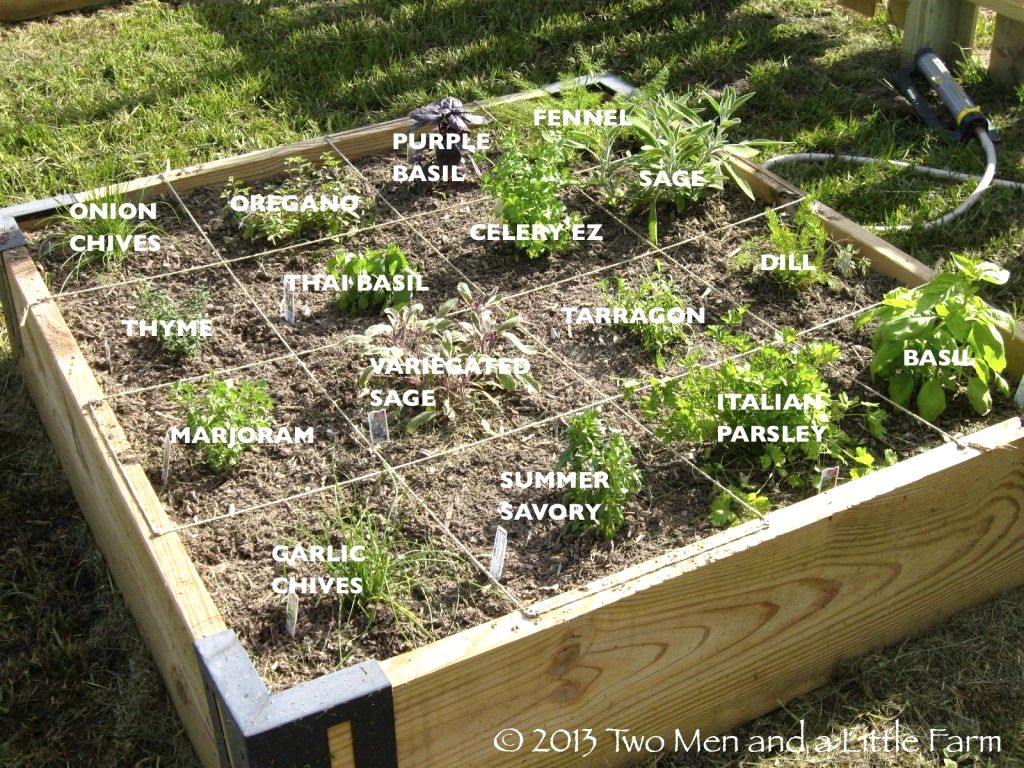 10 Unique Raised Garden Bed Ideas Vegetables raised bed garden ideas designs outdoor ideas productive 2024