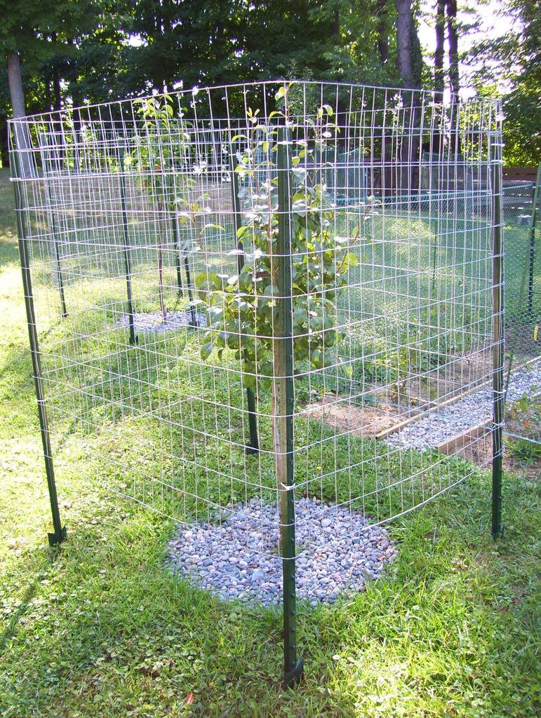 10 Fantastic Garden Fence Ideas To Keep Deer Out raised garden fence ideas to keep deer out yard deer garden 2022