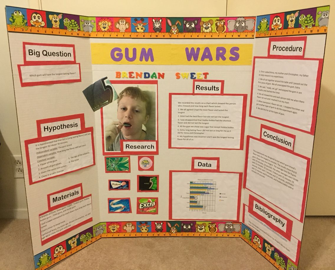 10 Nice Science Ideas For 8Th Graders science fair bulletin board which gum flavor last the longest kids 2022