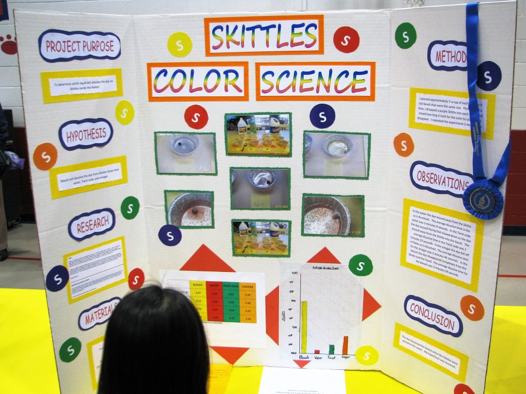10 Perfect Science Projects Ideas For 2Nd Graders skittles science fair project instructions owlcation 2024