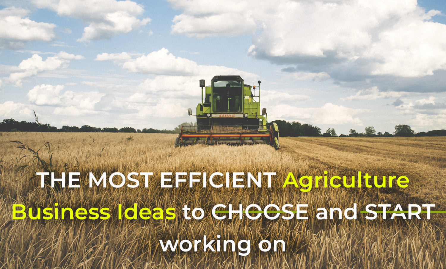 10 Stunning Business Ideas For Rural Areas top agriculture business ideas to d181hoose the best for yourself 2022