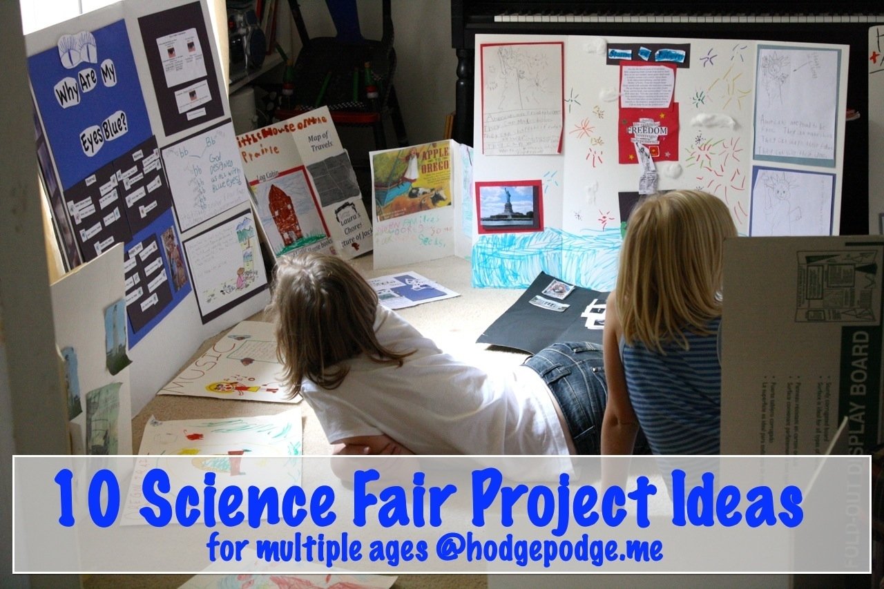 10 Cute 11Th Grade Science Fair Project Ideas 10 science fair project ideas hodgepodge 11 2022
