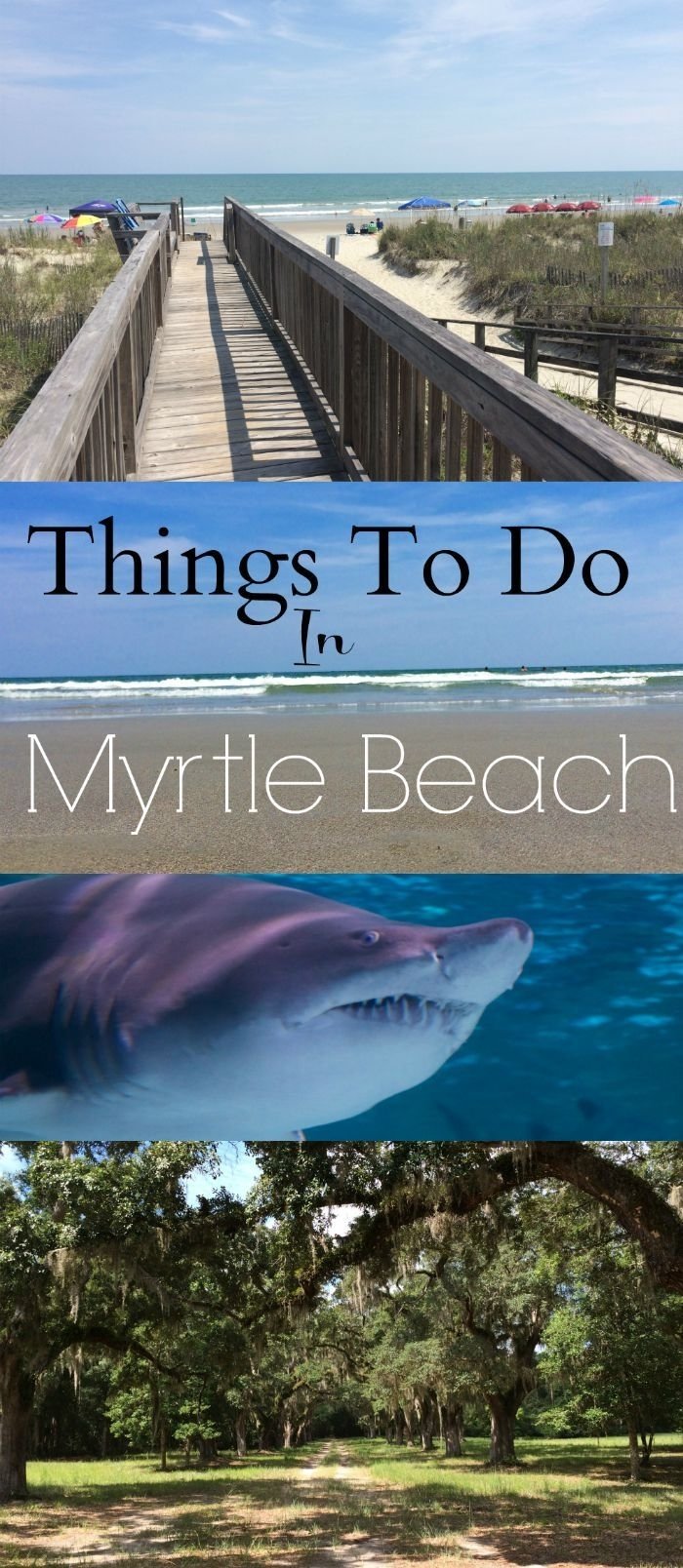 10 Cute Vacation Ideas In North Carolina 147 best myrtle beach musts images on pinterest places to travel 2023