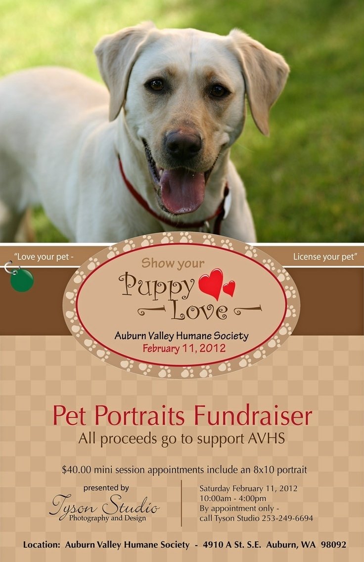 10 Most Recommended Fundraising Ideas For Animal Shelters 20 best pet portrait fundraiser inspiration images on pinterest 2022