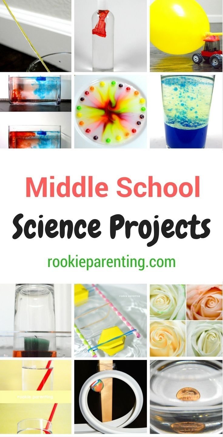 10 Wonderful Stem Project Ideas For Middle School 29 best science fair ideas images on pinterest school projects 1 2022