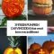 39 fresh pumpkin carving ideas that won't leave you indifferent