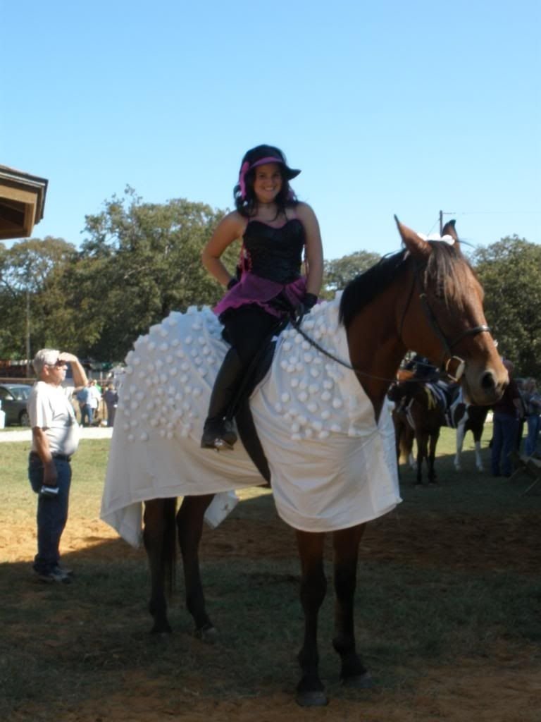 10 Spectacular Horse And Rider Costume Ideas 4 h horse costume class ideas nuts and bolts if the riders 2022