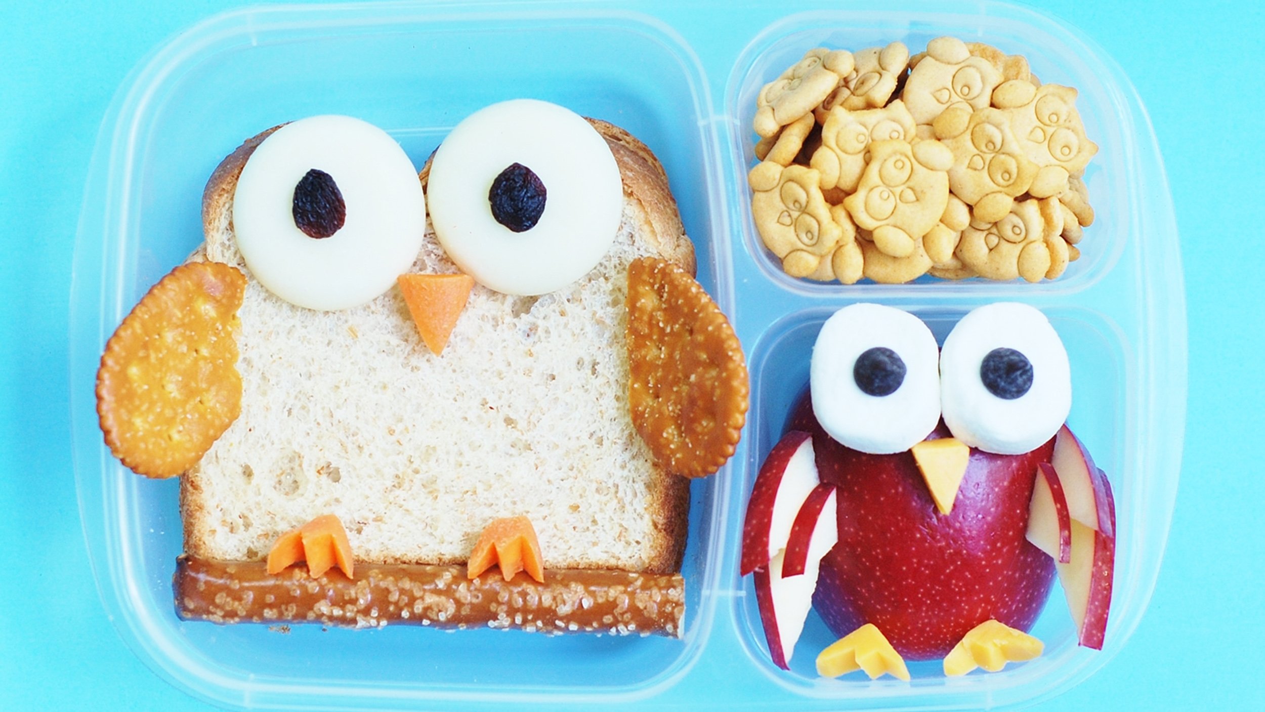 10 Stylish Fun Lunch Ideas For Toddlers 5 cute and creative bento box lunch ideas for kids today 1 2022