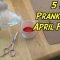 5 mean prank ideas for april fool's day- how to prank - youtube