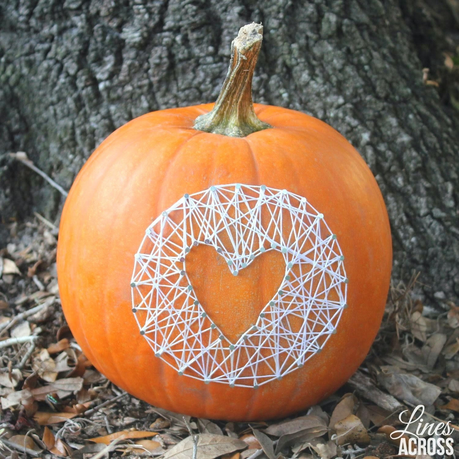 10 Most Recommended Non Carving Pumpkin Decorating Ideas 60 pumpkin designs we love for 2017 pumpkin decorating ideas 2022