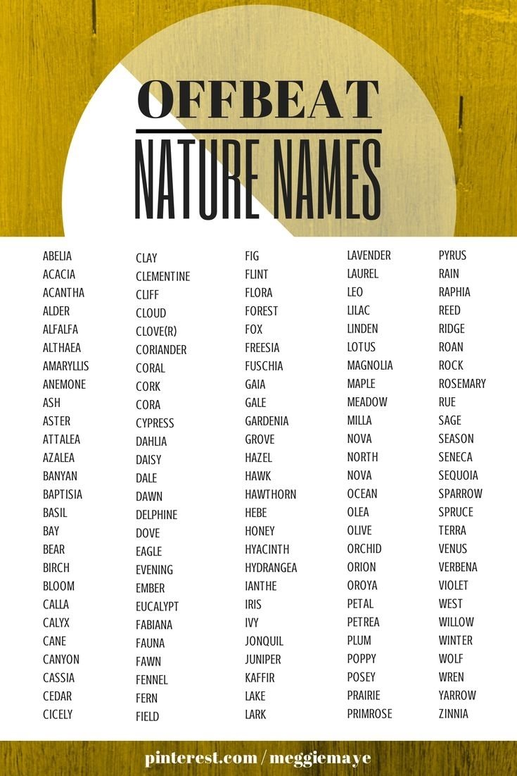 10 Pretty Good Ideas For Instagram Names 61 best names for characters images on pinterest handwriting ideas 1 2022