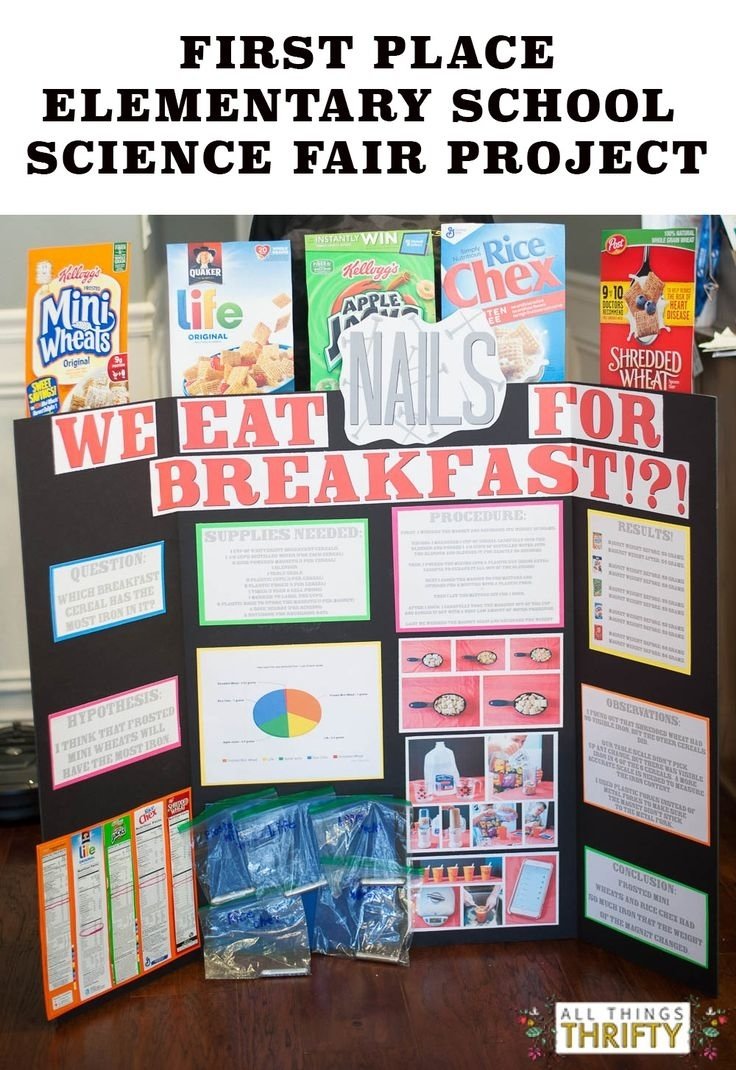10 Stunning 12Th Grade Science Fair Project Ideas 75 science fair project ideas pinteres 2 2023