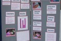 8th grade science project ideas list | homeshealth
