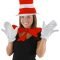 adult cat in the hat accessory kit