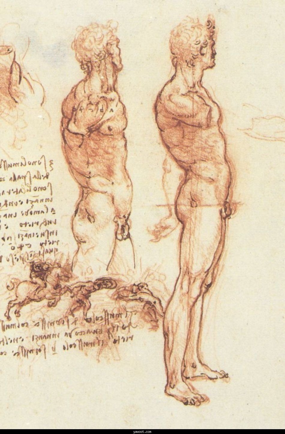 10 Nice Leonardo Da Vinci Used Drawings To Explore Ideas In anatomy scetch da vinci leonardo 1452 1519 leonardo da vinci 2022