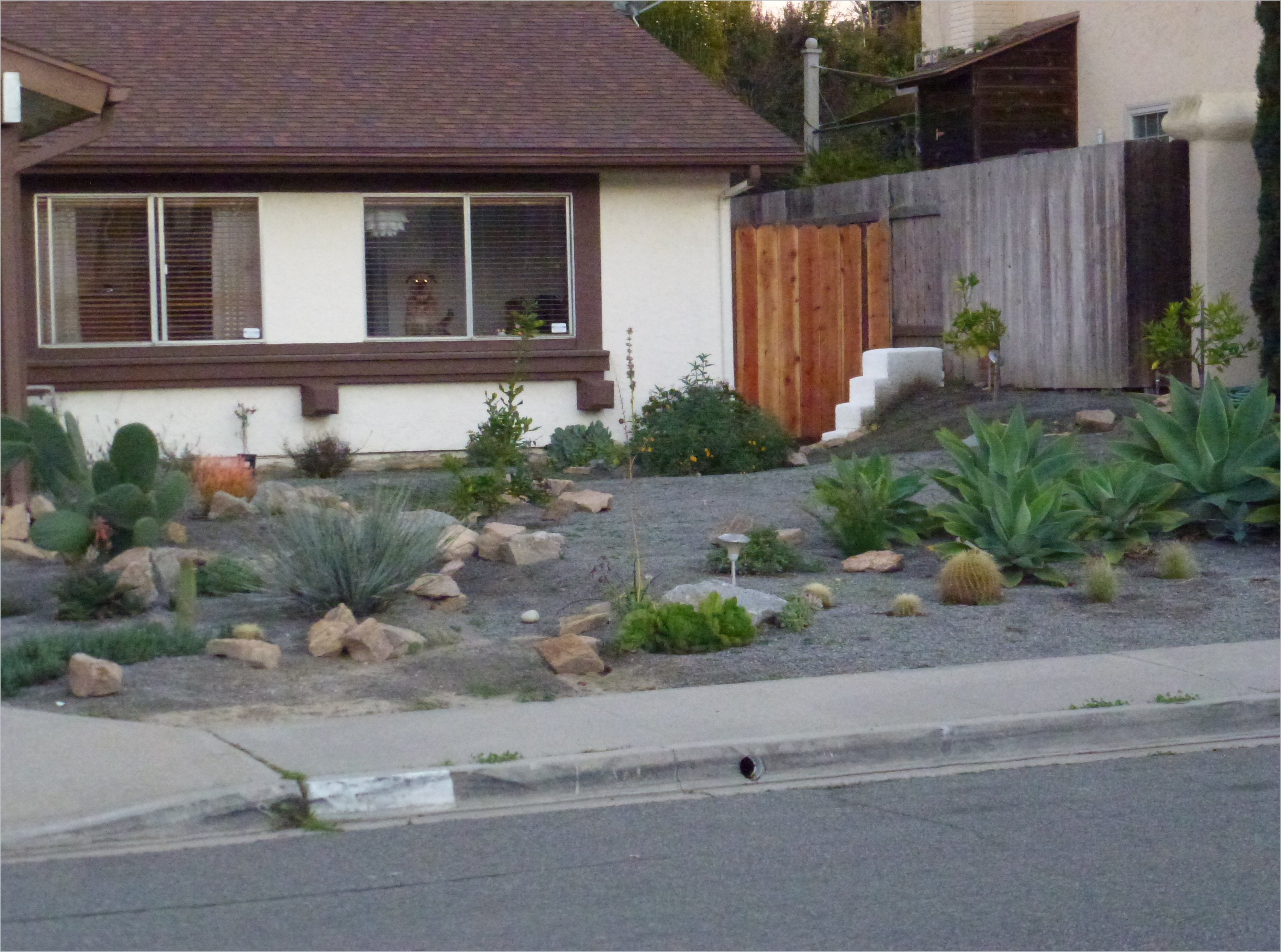 Desert Landscaping Ideas For Small Front Yards