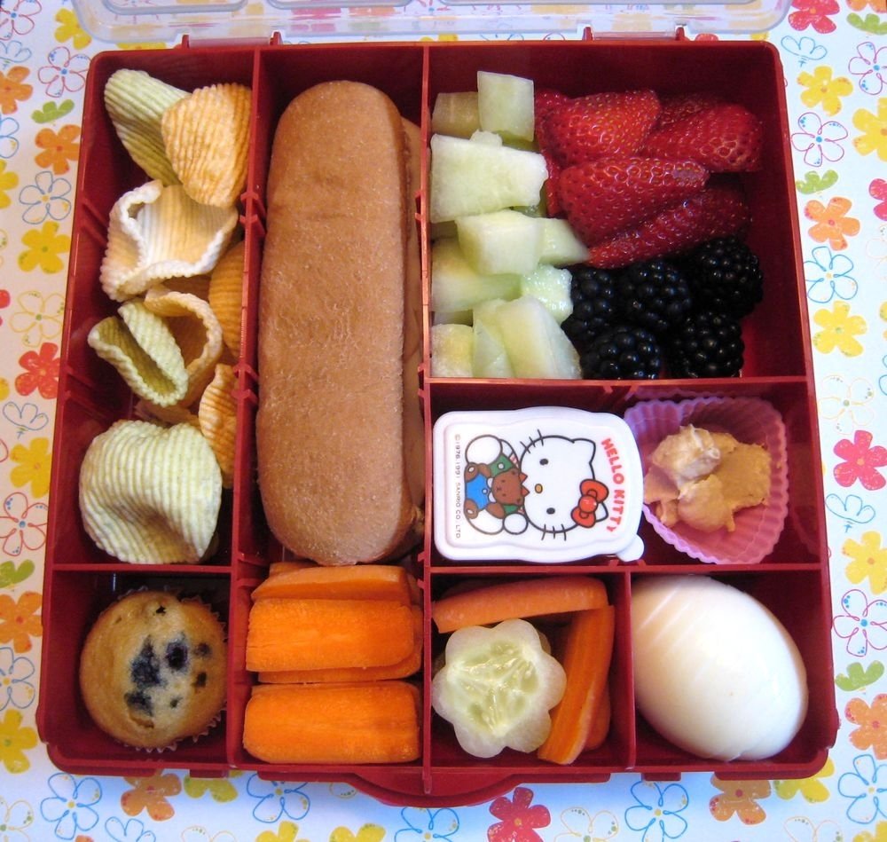 10 Unique Field Trip Ideas For Preschoolers being mvp packing lunch for preschool field trip 2022