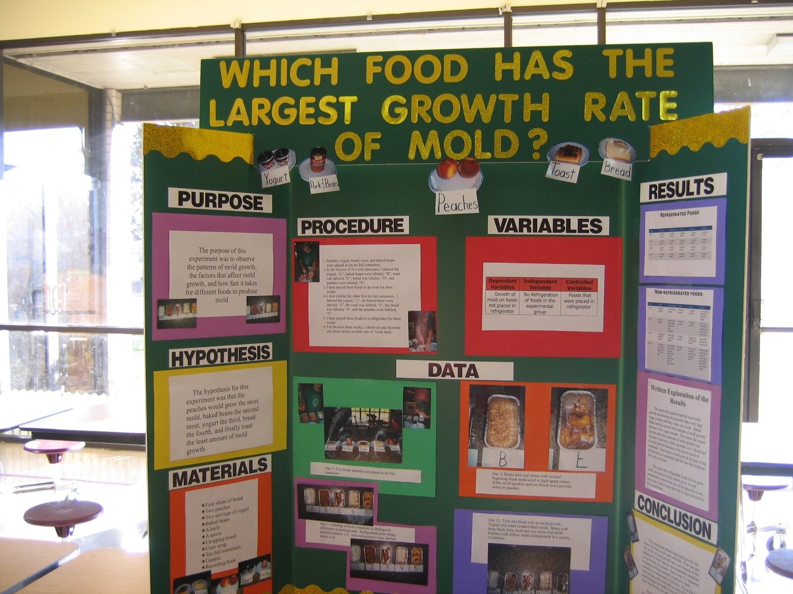 food science research project ideas