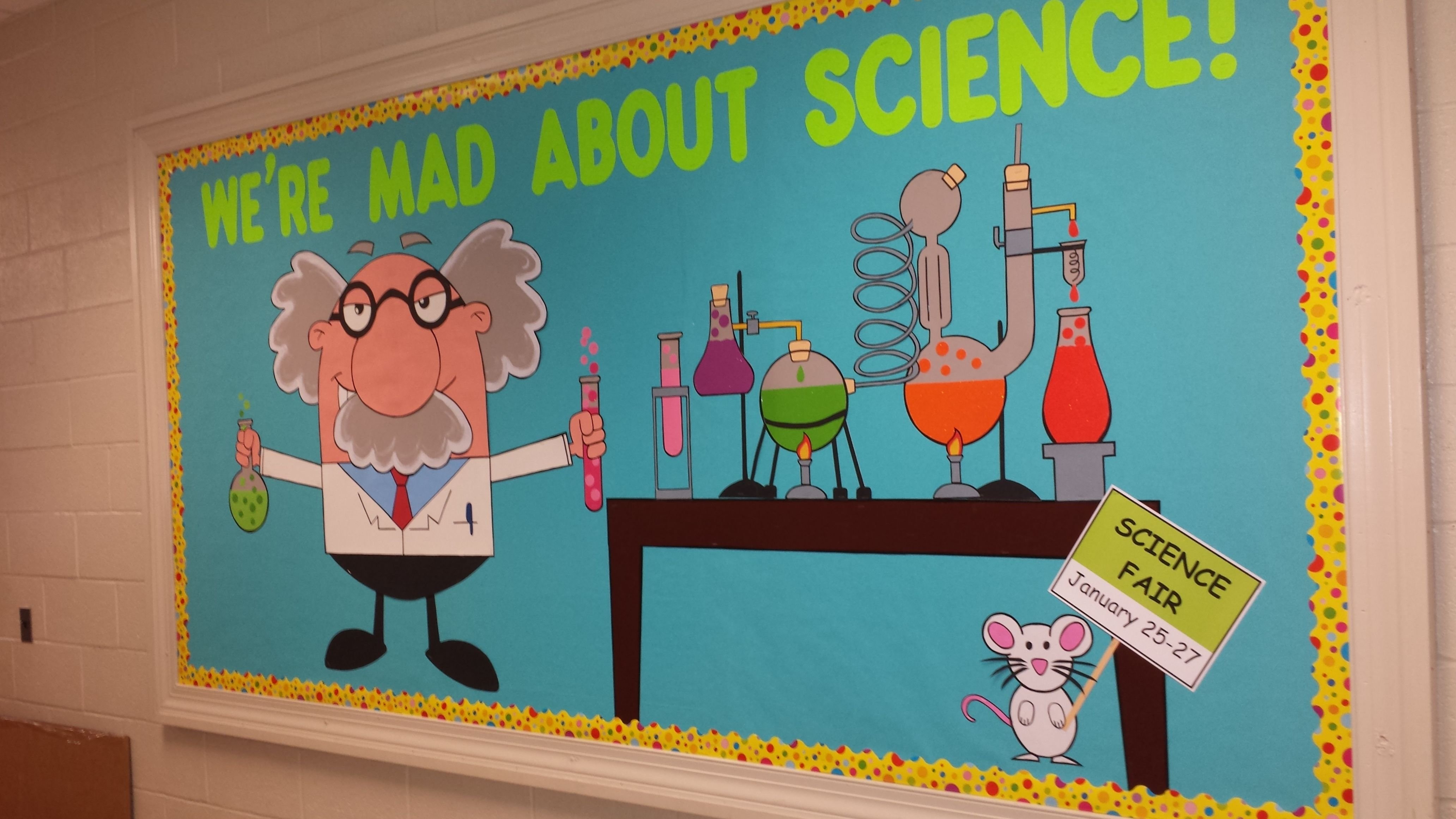 10 Amazing Science Bulletin Board Ideas Middle School 2024
