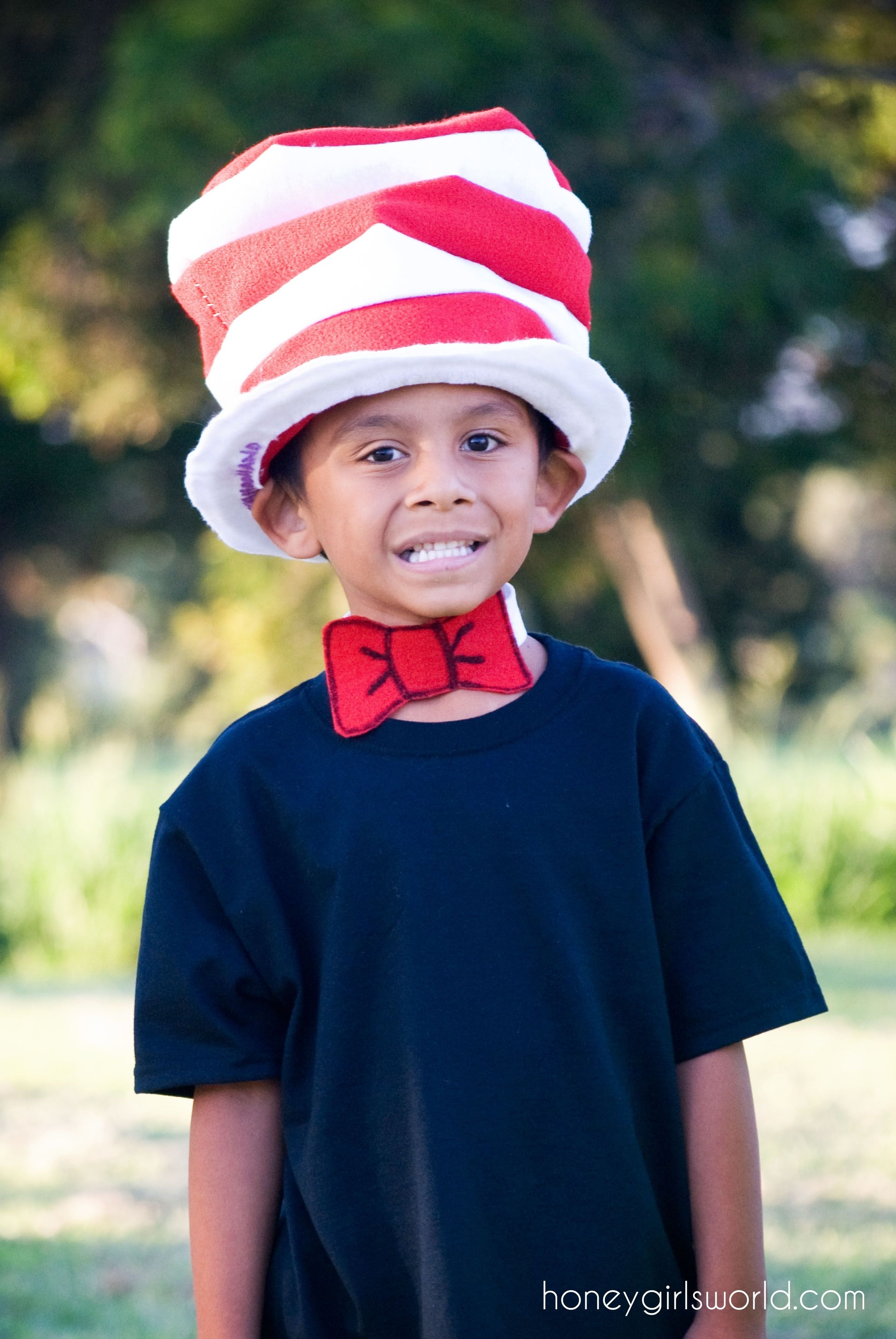 10 Best Dr Seuss Characters Costume Ideas book character dress up day easy diy dr seuss cat in the hat and 1 2022