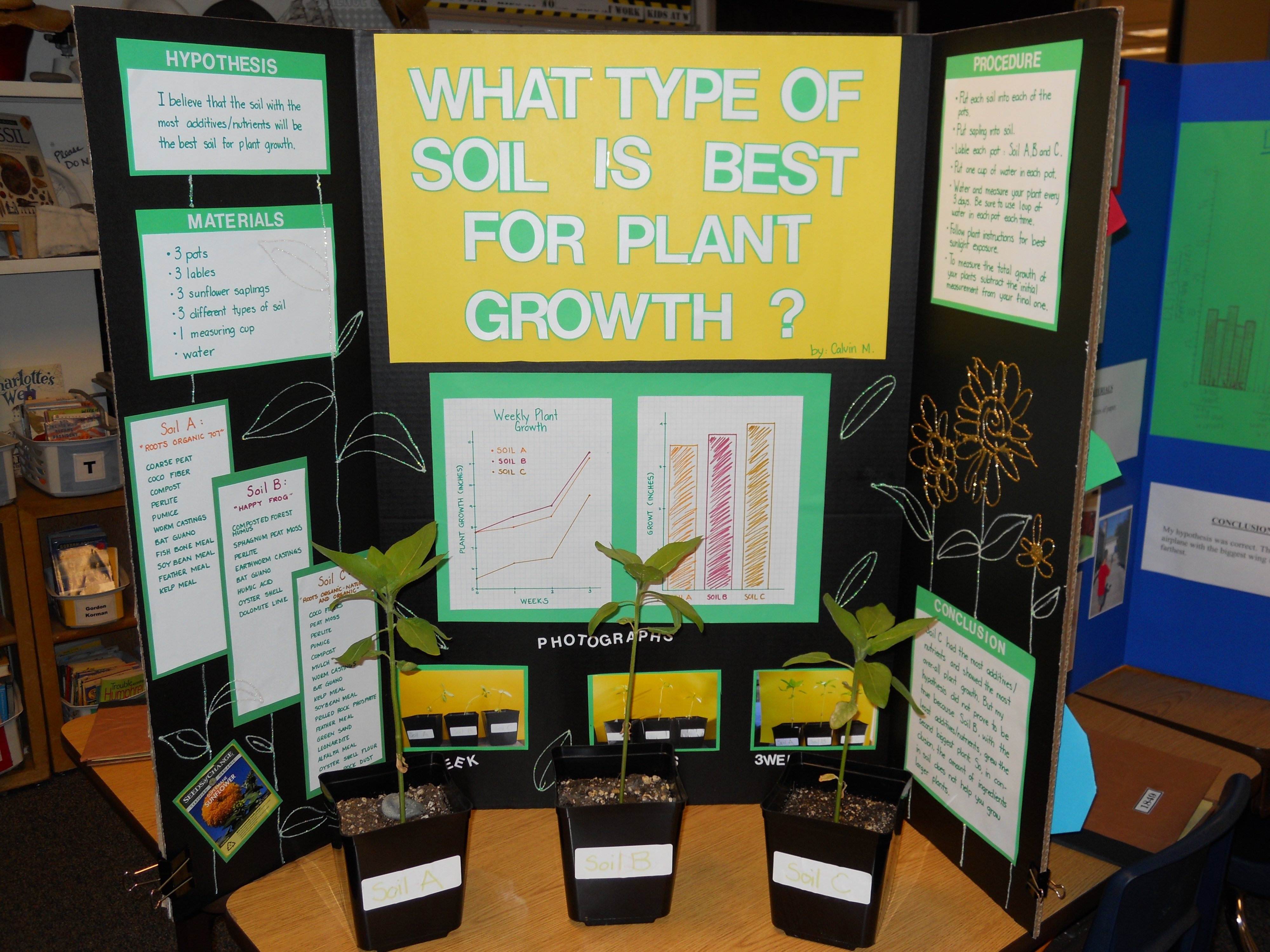 4th grade plant research project