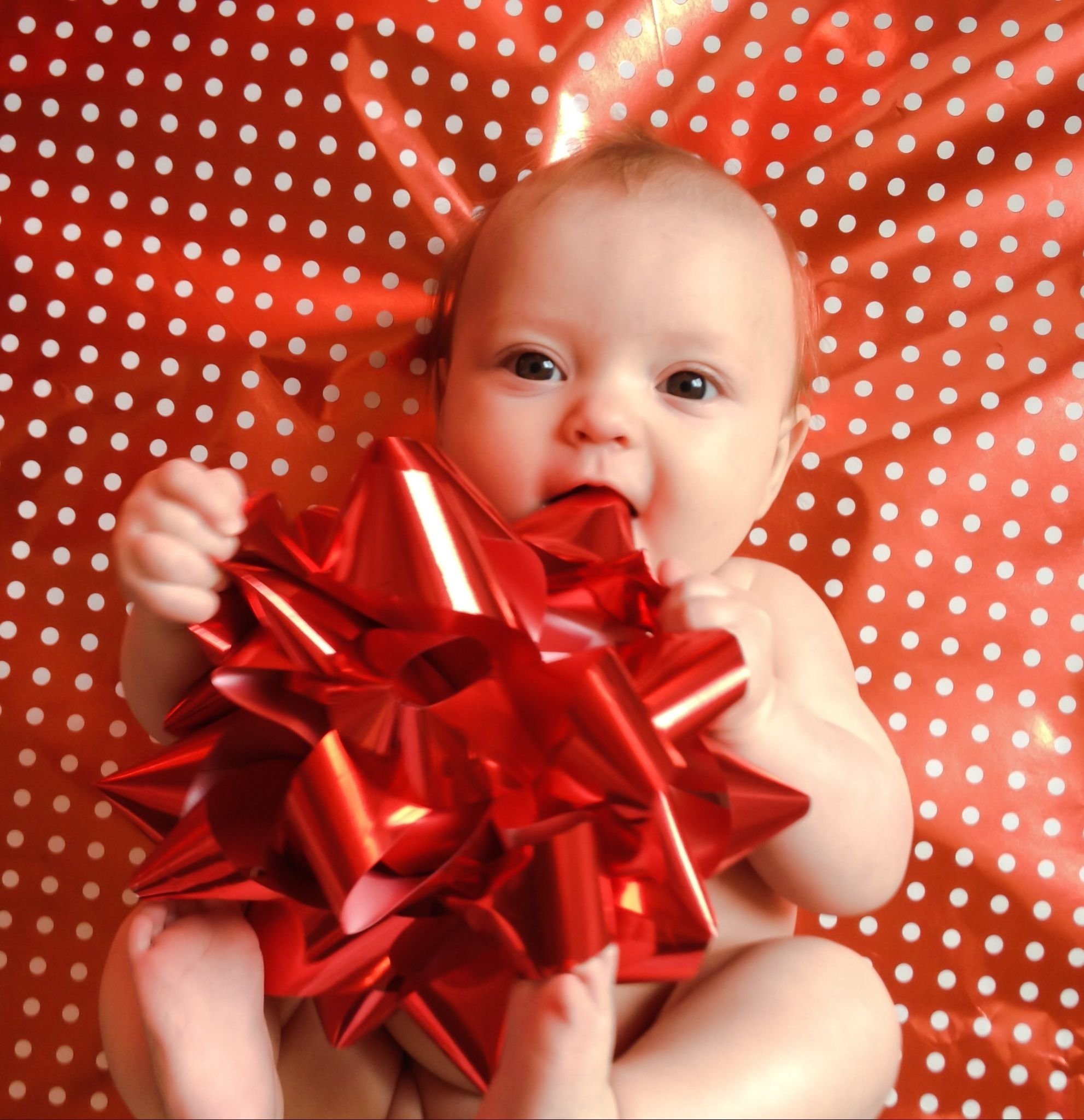 10 Stylish Kids Christmas Photo Shoot Ideas buck naked under the bow imagine my winkie being dragged over your 2022