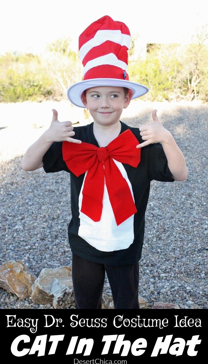 10 Best Dr Seuss Characters Costume Ideas cat in the hat costume desert chica 2 2022