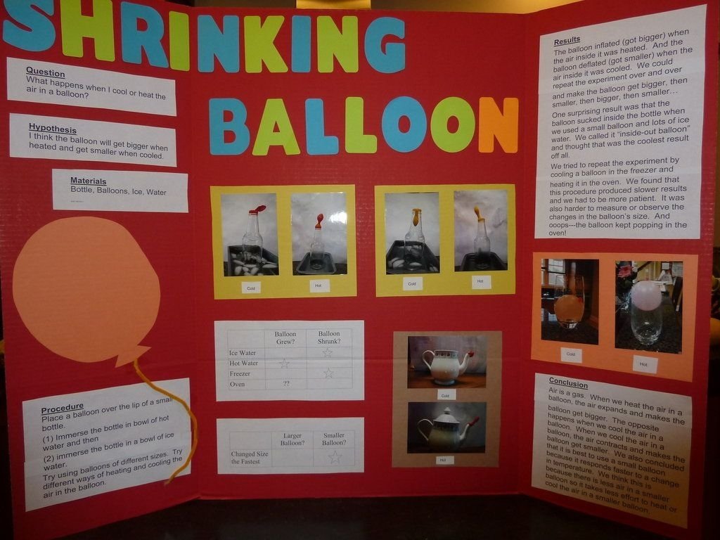 10 Attractive 6Th Grade Science Projects Ideas central school pto science fair good to know pinterest 28 2022