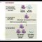 ch. 14 mendel and the gene idea part i - youtube