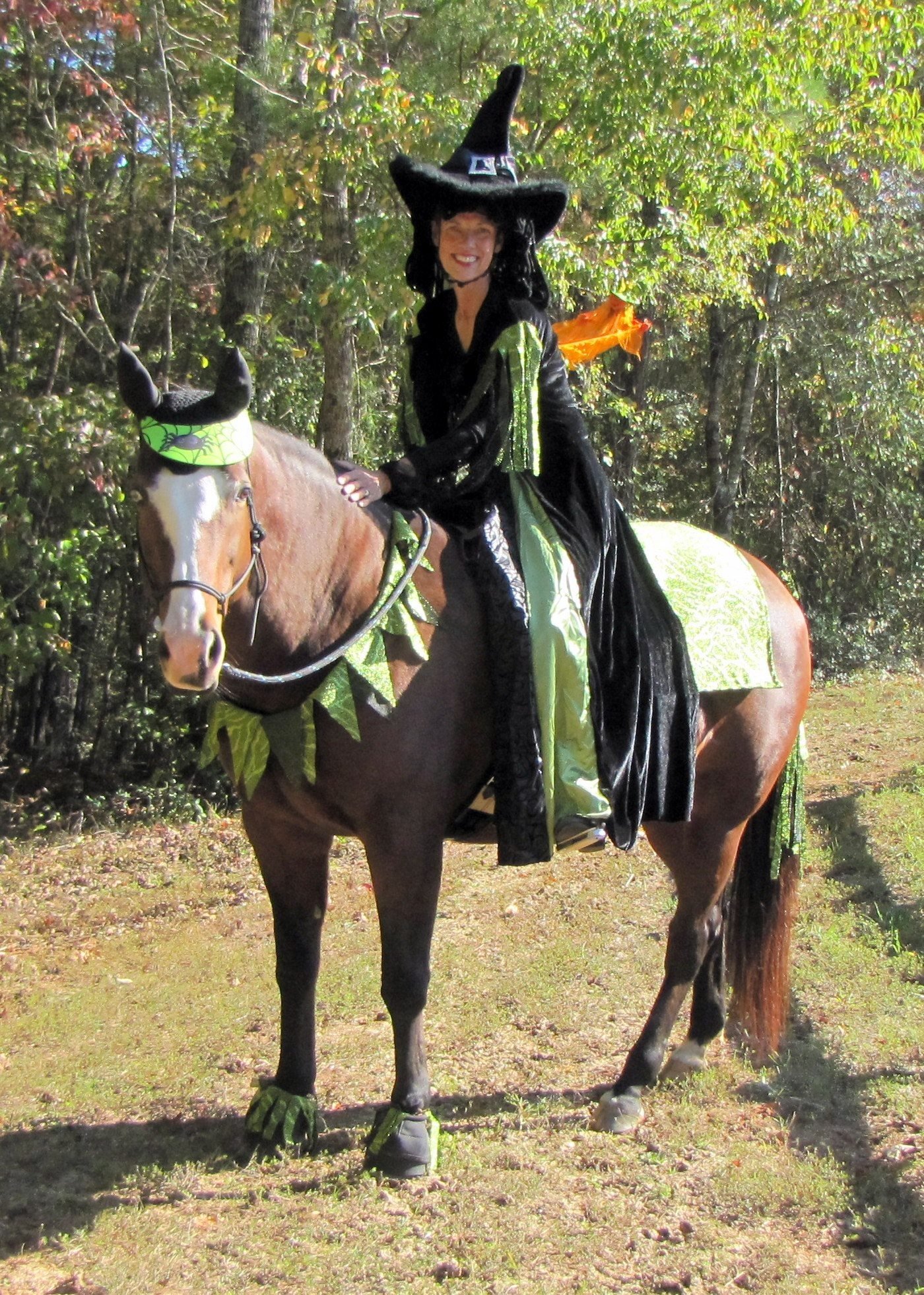 10 Spectacular Horse And Rider Costume Ideas check out some great horse costume ideas and try out a tasty horse 2022