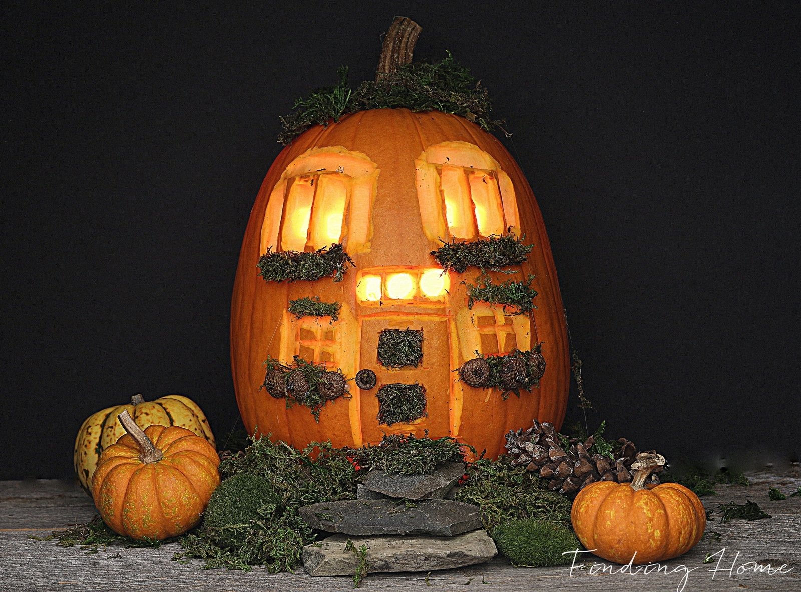 10 Fantastic Cool Ideas For Carving A Pumpkin 2024