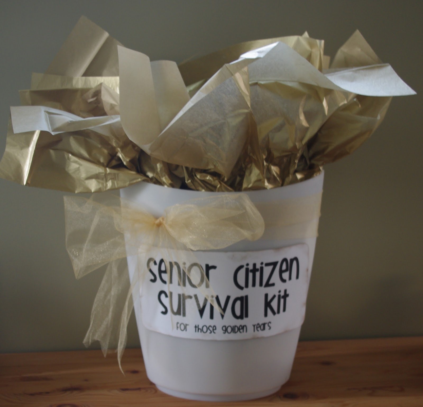 10 Pretty Gift Ideas For Senior Citizens creative tryals senior citizen survival kit 2022