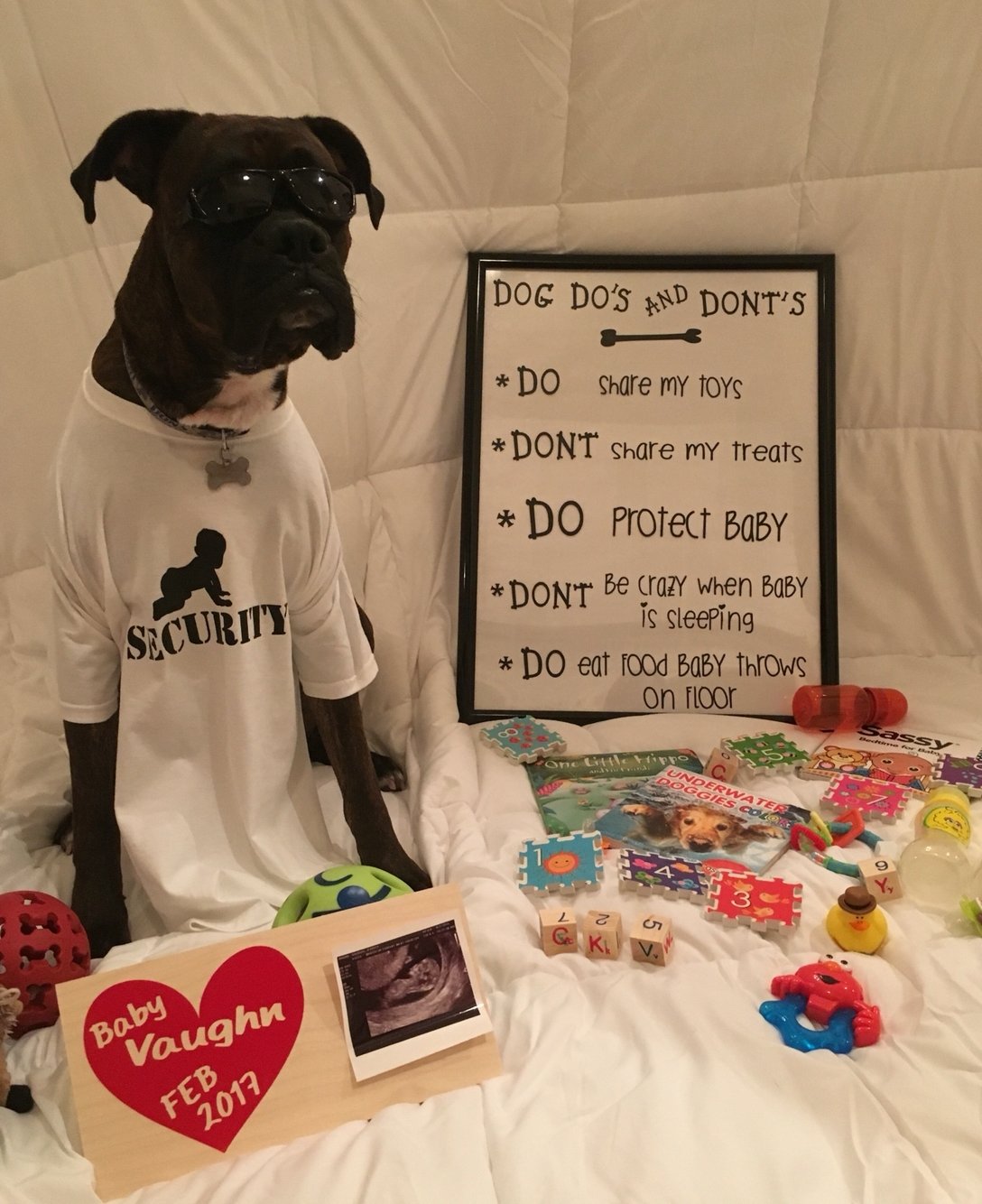 10 Stunning Baby Announcement Ideas With Dogs cute baby announcement idea with dog baby babyannouncement boxer 2023
