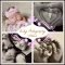 cute baby photography ideas -