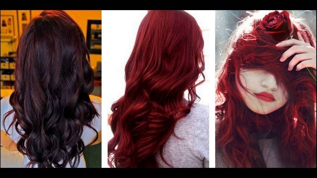 10 Ideal Black Cherry Hair Color Ideas dark cherry hair color ideas for dark skin youtube 2022