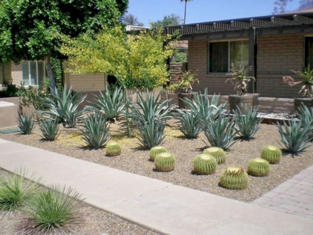 10 Most Popular Desert Landscaping Ideas For Front Yard 2023