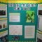 does soil type affect plant growth?