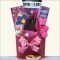 easter diva easter gift basket for tween girl ages 10-13 years old
